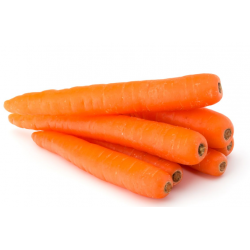 Морковь Carotte Cat 2...