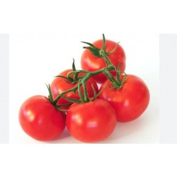 Виноградный помидор, Tomate...
