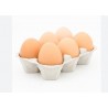 6 яиц - качество GIE - 6 x 53 г 6 Œufs - GIE Qualite - 6 x 53 g